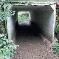 SOUS LA ROUTE COMMUNALE, un boviduc
de 10 mètres de long permet aux
laitières d’accèder à une dizaine
d’hectares de prairie.