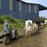 Le nombre d'installations en lait sera déterminant pour façonner le visage de la France laitière de demain.