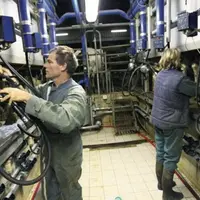 LES NOMBREUSES
EARL LAITIÈRES
ENTRE ÉPOUX
pourront se
transformer
en Gaec et ainsi
bénéficier de la
transparence au
niveau des aides.