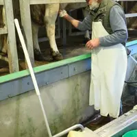 "Avec un prix du lait de base de 475 euros pour 1000 litres, on rémunère au Smic horaire la moitié des producteurs (équivalent à 2 Smic pour un 35h pl
