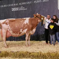 Laudu Red Hot (Armani RF) - Gaec Dupuy et Gauthier Thierry dans le Cantal - Championne rouge