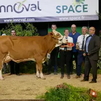 Oréo P (McDrive P) – Gaec Breizh Simm dans le Morbihan – Championne et Meilleure mamelle