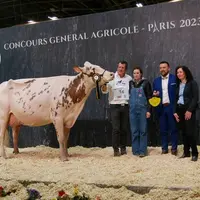 Night Red De La Liègue (Light Red X Olympian) – Earl Lepoint, Scea De La Gare (59) - Championne rouge