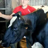 Guillaume Oflack, en Gaec dans le Calvados © DR