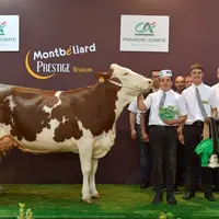 Lunedemiel, au Gaec du Pivert en Haute-Loire, a été désignée championne jeune puis grande championne par le juge Grégory Maillard. © J. Chabanne