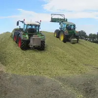 Il est recommandé de tasser pendant au minimum 30 minutes entre la dernière benne et le bâchage du silo. © FDCuma de Mayenne