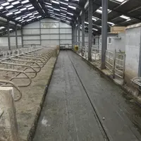Les largeurs sont surdimensionnées : 7,4 m pour le couloir d’alimentation (stockage foin et aliment) ; 5 m et 3,5 m pour les aires de raclage (bonne c