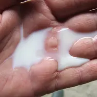 La transparence du lait de ces deux quartiers n’est pas vraiment la même ! © J.-M. Nicol