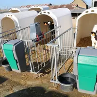 Les veaux préruminants n’ont pas encore de flore suffisamment active pour avoir un effet tampon sur des substances chimiques et bactéries. © F. Mechek