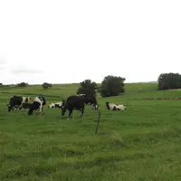Les Hauts-de-France sont soumis à un régime d'information, après deux ans de régime d'autorisation.  © C. Pruilh - archives