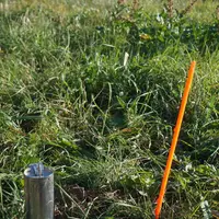 Le piégeage avec les pièges Topcat est très efficace mais très chronophage. © Sidam