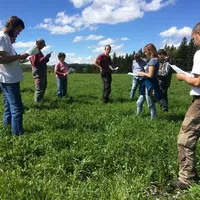 Les tests in situ et les échanges d'éleveurs en groupes sont essentiels pour adapter les mélanges à la réalité des exploitations. © Chambre d'agricult