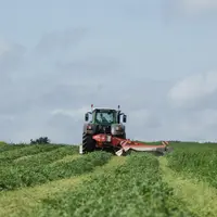 Après passage de la faucheuse-conditionneuse, le regroupement d’andains ne se traduit pas par une plus forte contamination en butyriques si le fourrag