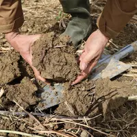 Le label "Au Coeur des Sols" reconnaît le suivi des trois principes fondateurs de ce mode d’agriculture : la couverture permanente des sols, l’arrêt t