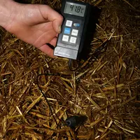 Les éleveurs sont surpris de la température de la litière des taries (42°C) une semaine après le paillage. © E. Bignon