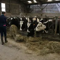 Le conjoint associé cotise et bénéficie de toutes les prestations sociales attribuées à un chef d’exploitation.  © E. Bignon