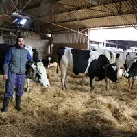 Quentin Velut avec Galaxie élue « Vache de l’année 2019 ». Âgée de 8 ans, elle a produit plus de 82 000 kg de lait en six lactations (44,1 de TB, 34,1