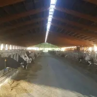 Le projet prévoit la construction sur le site de Houlbec-Cocherel d’une nouvelle stabulation en logettes pour 234 vaches laitières, en complément de c
