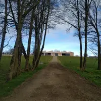 Stabilisés, les nouveaux chemins permettent aux vaches de parcourir 1 km sans problème. © F. Hersant