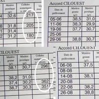 Évolution des comptages estivaux de tank d'un troupeau qui vêle en août-septembre et avec 80 % de vaches à moins de 300 000 cellules au mois de mai. ©