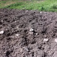 Exemple d'un chemin qui évacue mal l'eau et devient vite boueux, et avec des cailloux blessants.  © L. Manciaux