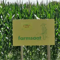 Une trentaine d'agriculteurs partenaires répartis dans la moitié nord de la France distribuent les variétés de maïs Farmsaat. © Farmsaat