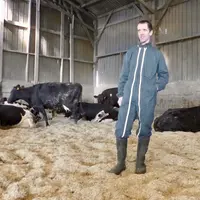 Benoît Rigolle épand des anas de lin sur l'aire de couchage (350 m2) de ses 45 laitières.   © DR