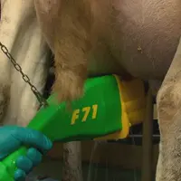 Un tendeur de suspension permet d’autoporter la brosse (coût de l’option : 360 €) et de soulager davantage l’épaule. © Puli-sistem