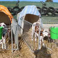 Les niches sont très faciles à vider et à nettoyer (séchant désinfectant). © C. Pruilh