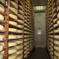 L'usurpation d'image consiste notamment à employer des images trompeuses de meules, de cave... sur les emballages de fromages qui ne sont pas du comté