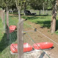 Les veaux sont mis dans un enclos de 1 500 m2. Une clôture électrique complète le grillage. © F. Mechekour