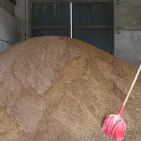 Une hausse du coût de l’alimentation des animaux doit être intégrée par les filières françaises dans leur stratégie. © C. Pruilh