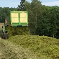 Il est préférable que les parcelles ne soient pas trop éloignées du silo pour limiter le temps passé par l'autochargeuse sur la route.  © Krone