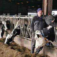 L’ensilage d’herbe représente 40 % de la ration des laitières, auquel s’ajoutent de l’ensilage de maïs et du maïs grain humide, du correcteur azoté et