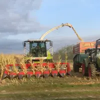 La récolte du maïs épi se fait avec une ensileuse classique équipée d’un cueilleur à maïs grain, ce qui nécessite une adaptation de la tête de récolte