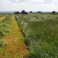 Les travaux de fenaison ont été réalisés avec les équipements de l’éleveur sur des parcelles homogènes et de taille suffisante (1 ha par modalité) pou