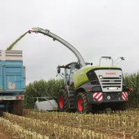 Quelle que soit la longueur de coupe, elle doit être franche pour ne pas défibrer le maïs, et les grains doivent être pulvérisés pour optimiser leur d