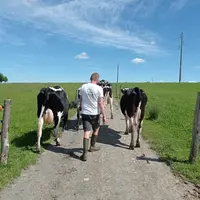 « Mon chemin de falin et de tuf reste propre »