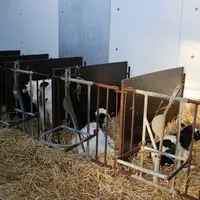 Depuis deux ans, les interprofessions lait et viande, Cniel et Interbev, se sont rapprochées pour améliorer l’adéquation entre disponibilités et débou