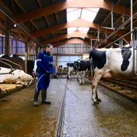 Nolivade - Les boiteries sous biocontrôle avec Nolifeet