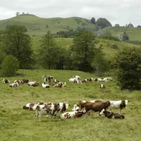 Tout le lait de montagne doit être mieux payé, et s'approcher des valorisations en AOP.