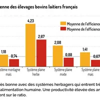 Trois quarts des élevages bovins lait sont producteurs net de protéines