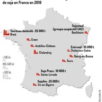 Créer des filières soja pour un vrai déploiement