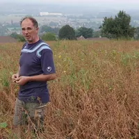 Hervé Chambe, éleveur. « Je suis convaincu de l'intérêt économique d'une utilisation en direct du soja. Il faut tout prendre en compte : protéine, mat