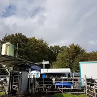 Sur les deux sites, l'organisation spatiale du robot, de l'aire d'attente, de la porte de tri sont les mêmes pour faciliter l'adaptation des vaches.