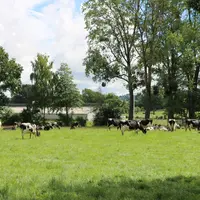 L'entretien de la biodiversité est plutôt bien évalué avec 144 equivalents hectares de biodiversité, grâce aux haies, prairies et luzerne, arbres et l
