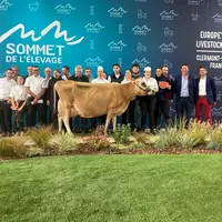 Zoom sur les stars du Sommet 2021