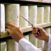 Le marché des pâtes persillées et fourmes est en augmentation selon Sodiaal.