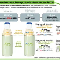 Eva'lait permet de suivre votre marge sur coût alimentaire