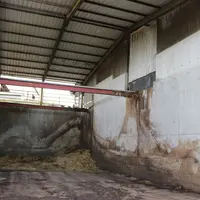 Grâce au dénivelé, le fumier tombe directement dans la fumière située en bout de stabulation.